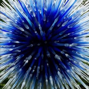 Meet your Posher, Ching